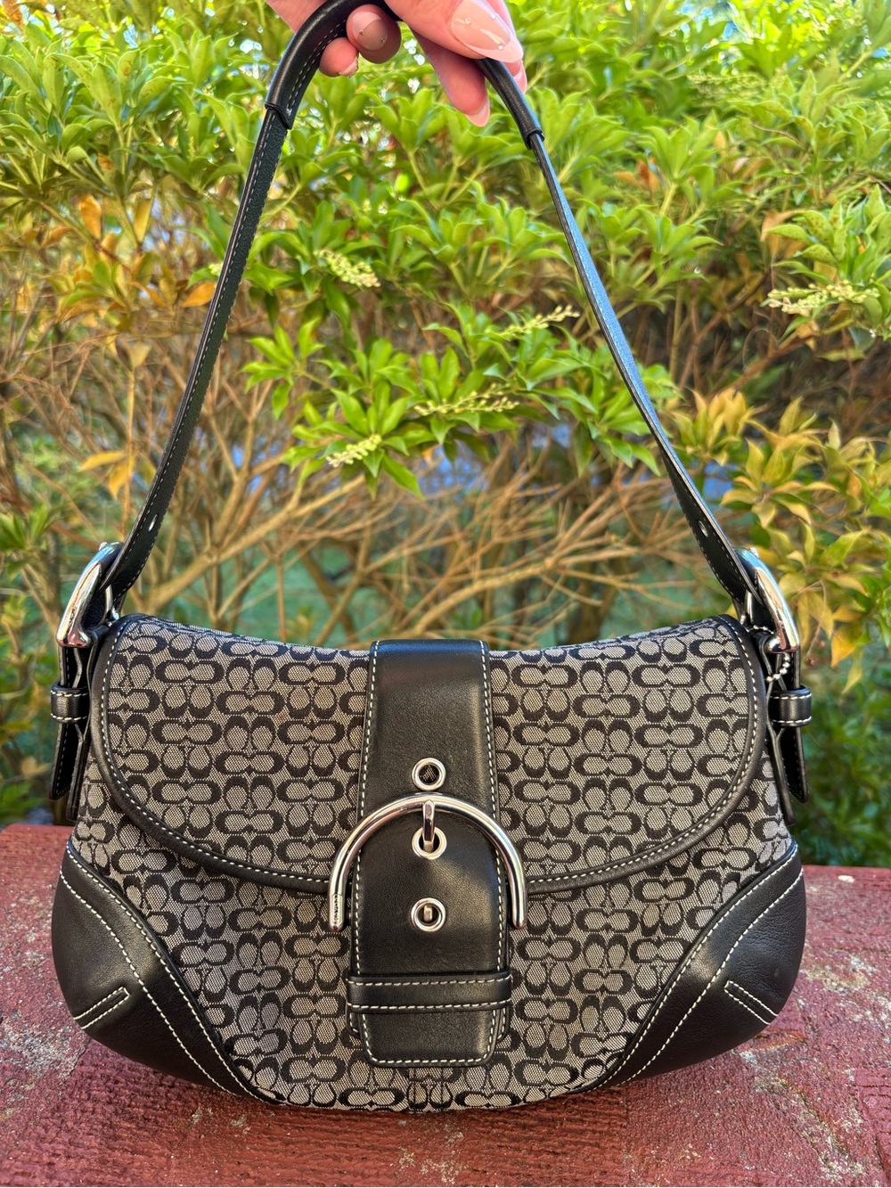 Coach Signature Soho Bag